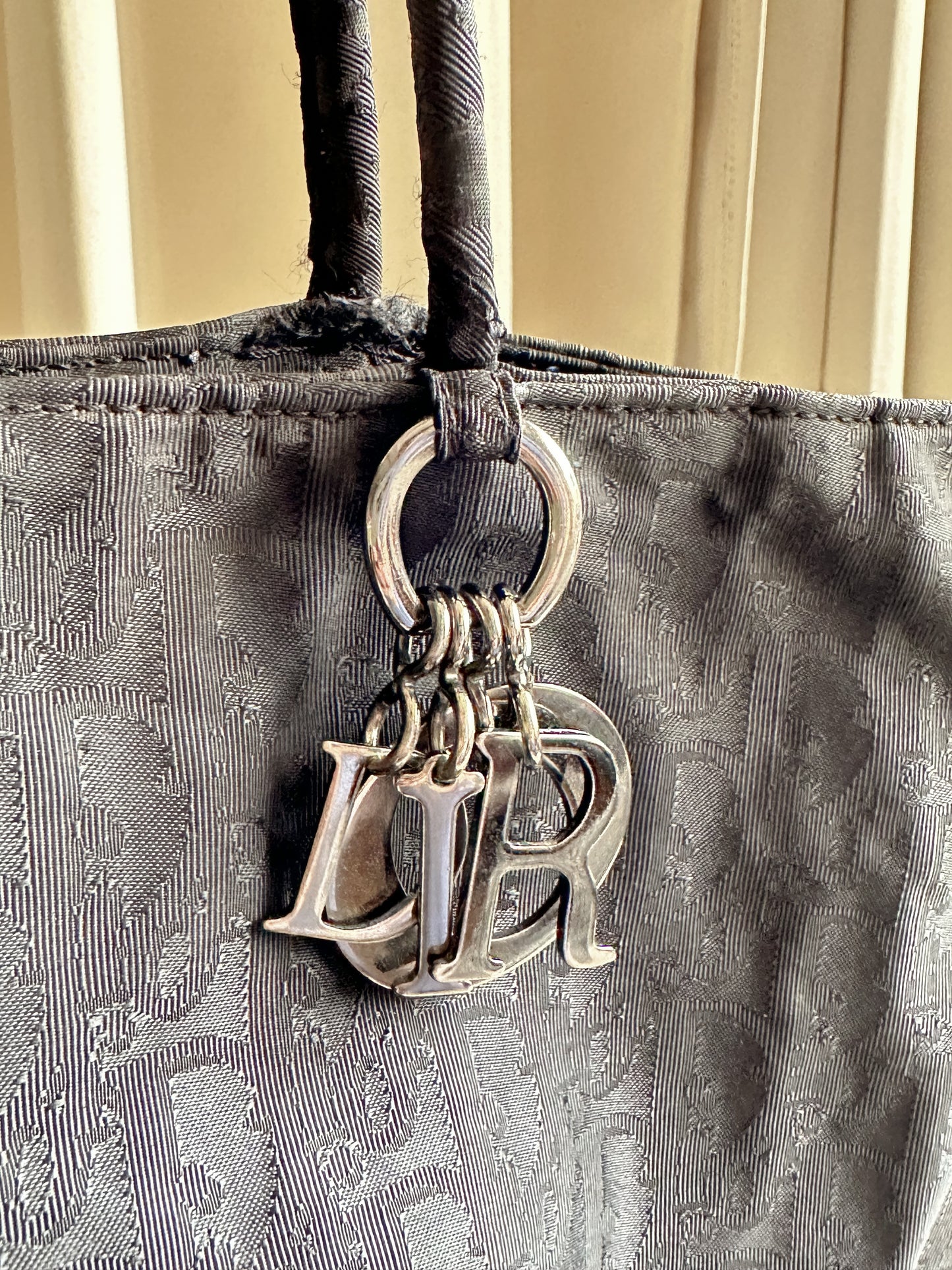 Christian Dior Trotter Tote Bag